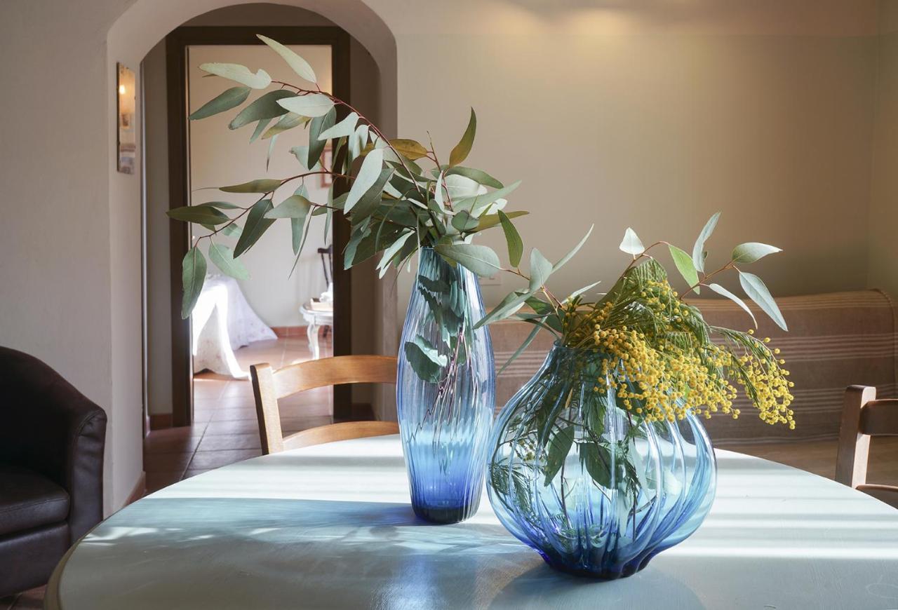 Locanda Degli Alberi 사세타 외부 사진