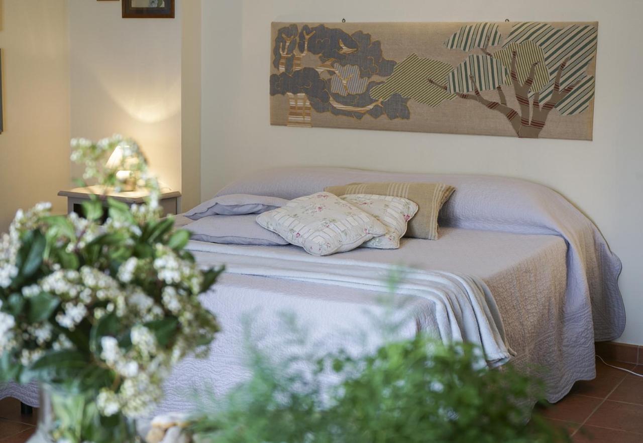 Locanda Degli Alberi 사세타 외부 사진