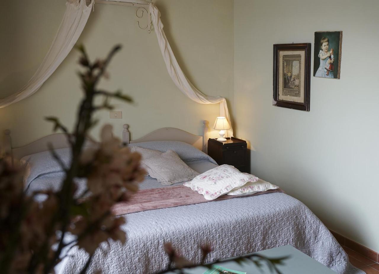 Locanda Degli Alberi 사세타 외부 사진